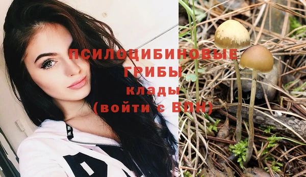 гашишное масло Аркадак